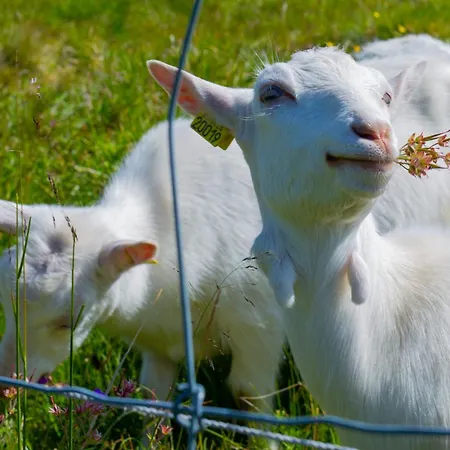 Bright, Homey In Center * Beitostolen