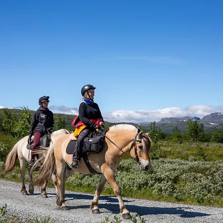 Apartment Bright, Homey In Center Beitostolen