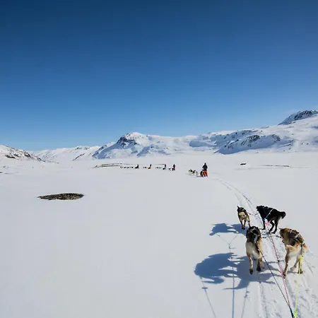 Bright, Homey In Center *