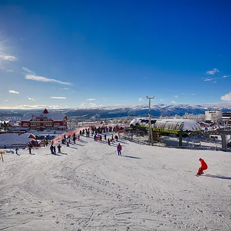 Apartment Bright, Homey In Center Beitostolen