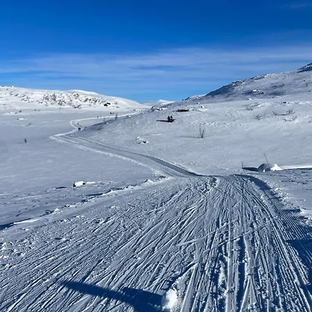 Bright, Homey In Center