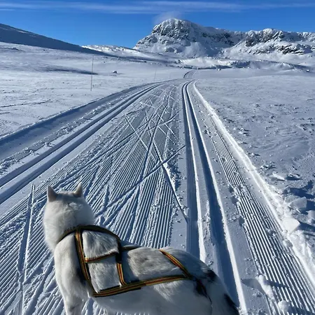 Bright, Homey In Center * Beitostolen